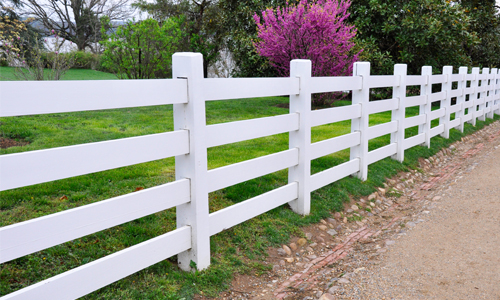 Fence Cleaning